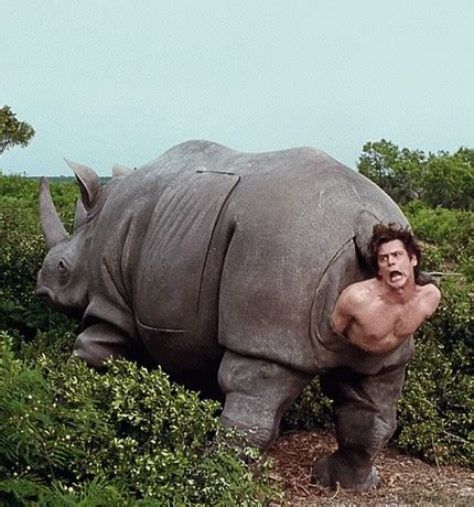 Here, pet detective <strong>Ace</strong> ends up locked inside a. . Ace ventura rhino birth